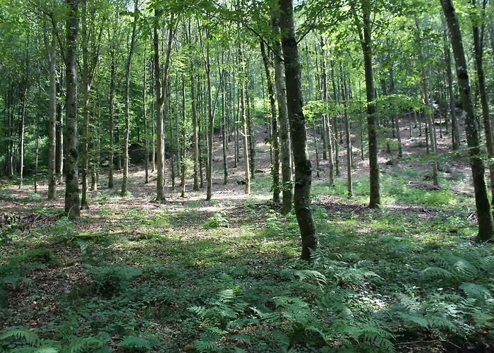 Gite De L'ehm Custinne